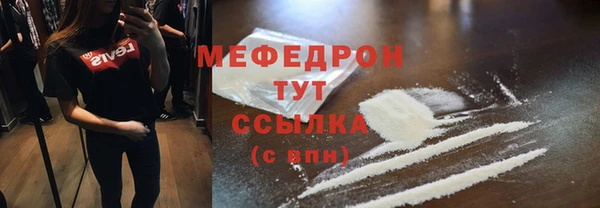 МДПВ Бородино