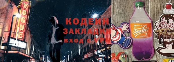 МДПВ Бородино