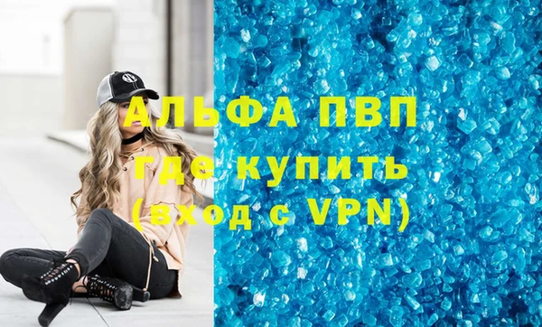 МДПВ Бородино